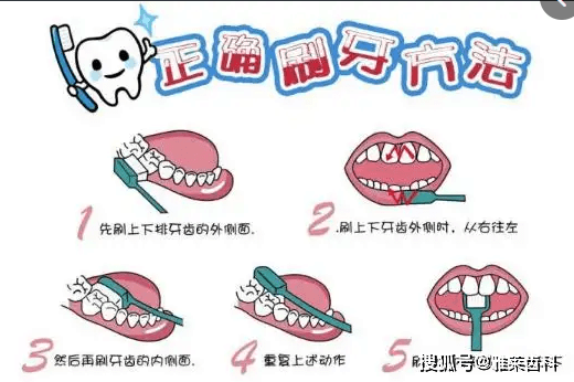 完整的儿童长牙儿童换牙顺序图20颗ob体育入口(图4)