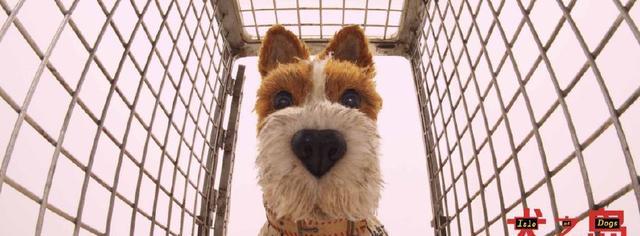 为何说 犬之岛 好过 寻梦环游记 原因只有这三点 动画 方式 动作