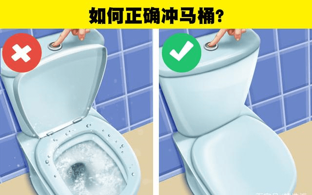 教你如何正确使用马桶的5点知识_厕所_时候_身体
