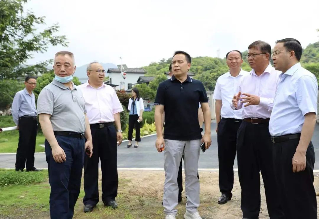 盐津铺子张学武董事长两次深入考察,与汝城沙洲村签订生姜保护价收购