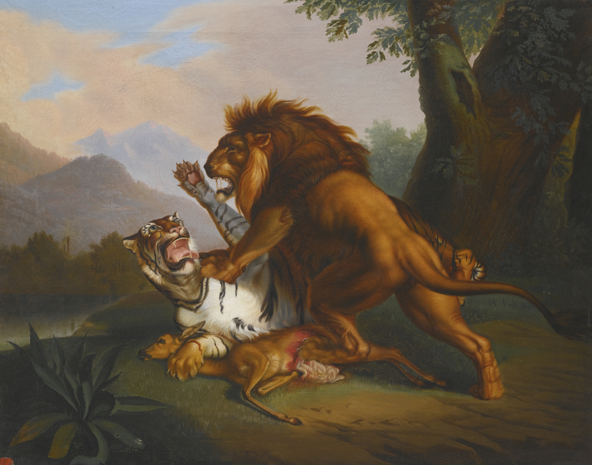 狮子和老虎谁才是最好的终极杀手勇气决定了最终的结果