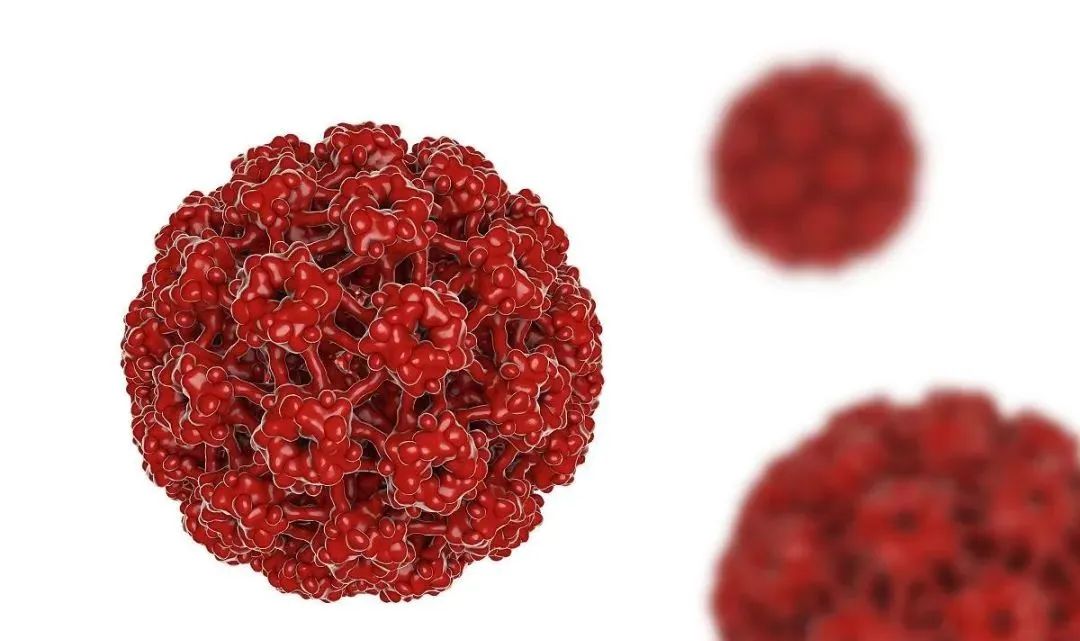 hpv感染相关的妇科疾病抗hpv生物蛋白敷料带你了解