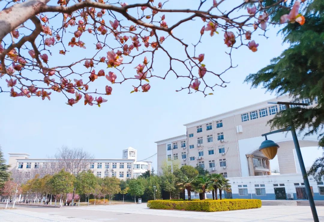 郑州市郑中国际学校初中部2022年招生简章