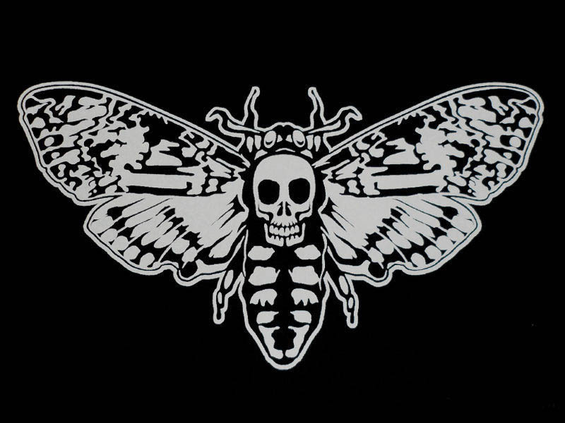 原创告死天使魔鬼化身其实它只是个蜂蜜小偷小记骷髅天蛾