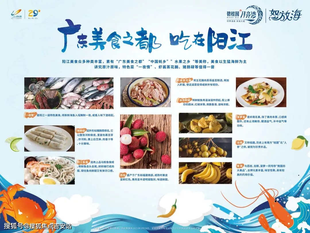 阳江网站推广制作 来自搜狐网