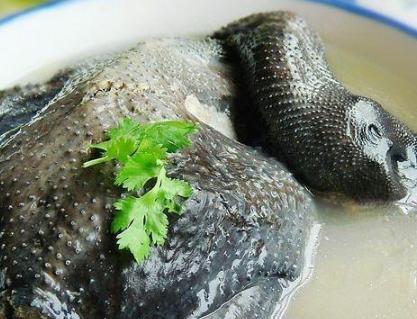 乌鸡怎么清蒸好吃又营养 清蒸乌鸡汤的做法大全家常
