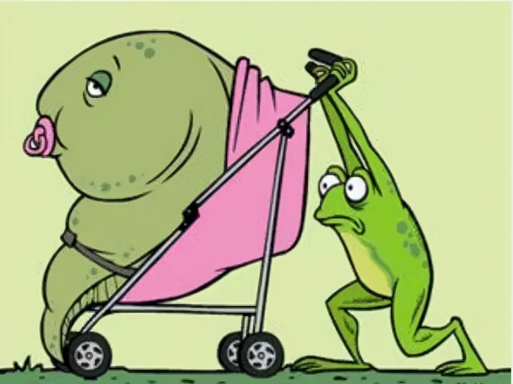 现实版逆生长被发现,或能解开人类生命密码_蝌蚪_青蛙_成长