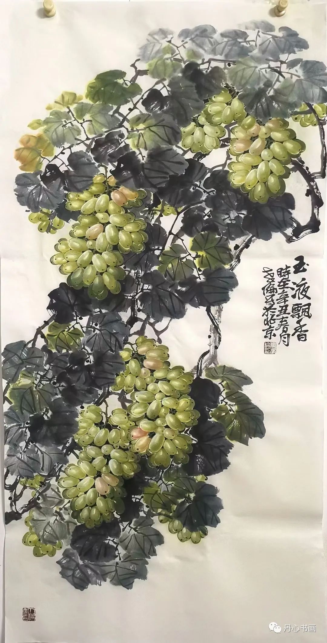 格调清雅,着墨秀润|重彩葡萄领军人张孝伦