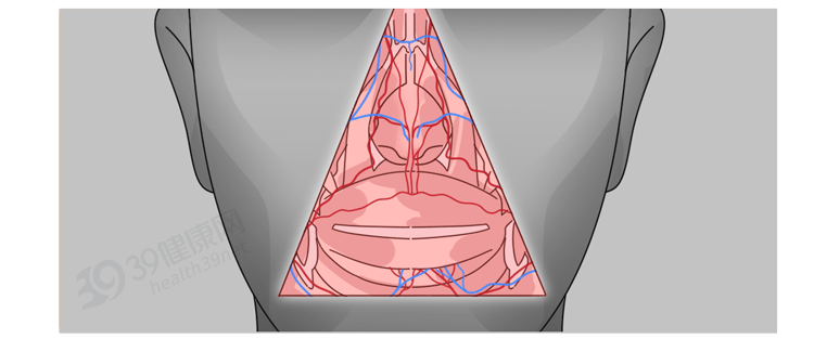 臉上的危險三角區具體指哪裡有多危險有人付出慘痛的代價