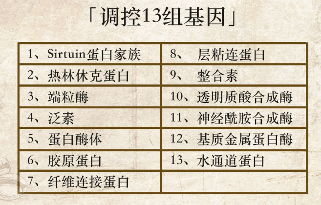 斑小将成分表图片