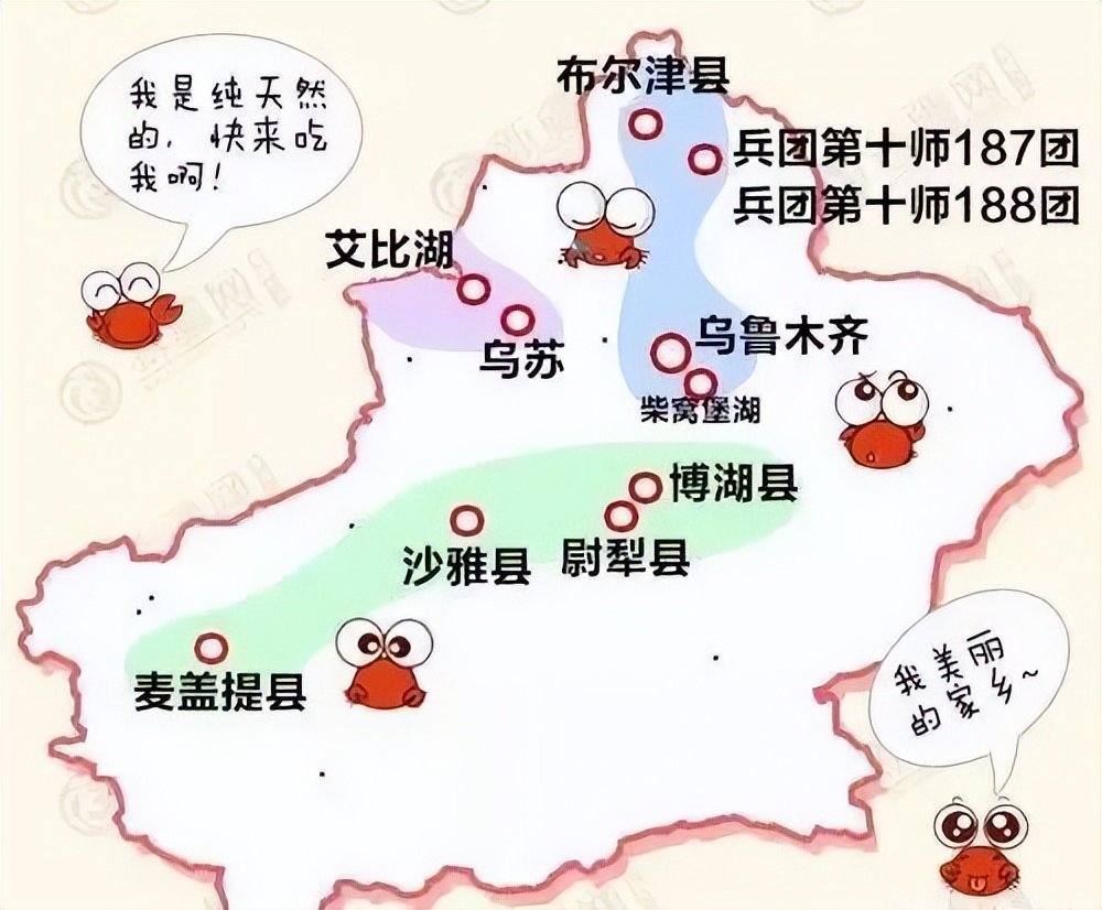 新疆十大新特产出炉简直绝了新疆人自己可能都不知道