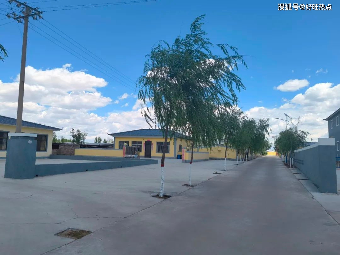 榆林市榆阳区金鸡滩镇召开人居环境整治流动现场会