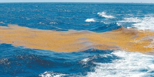 世界最危险的海域:清澈度能看到水下70米,号称有来无回
