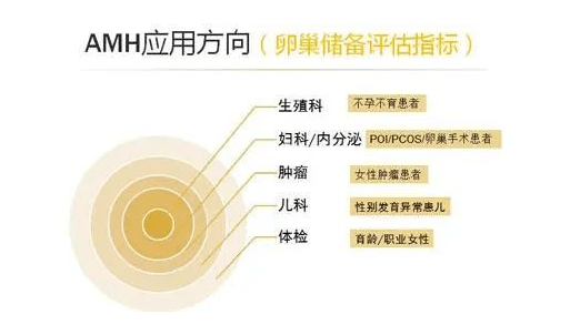 为什么amh003能自然怀孕?