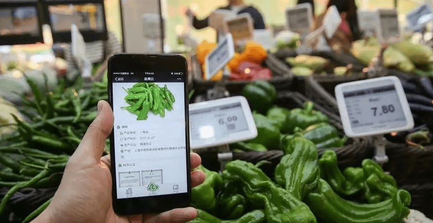 蔬东坡生鲜软件