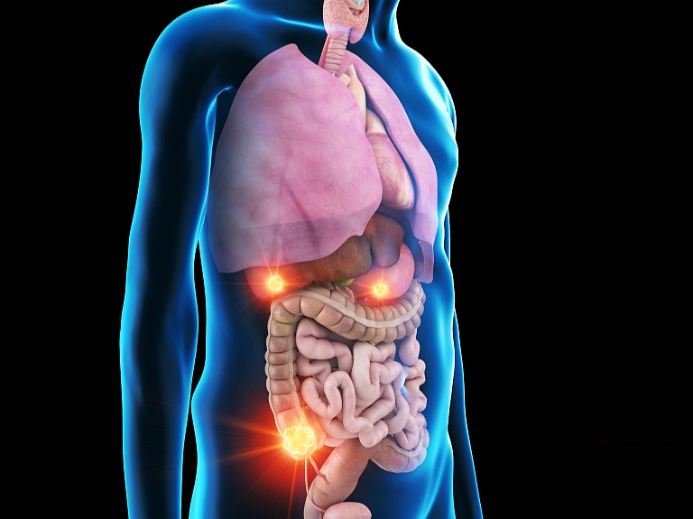 脾胃在身体的位置图片图片