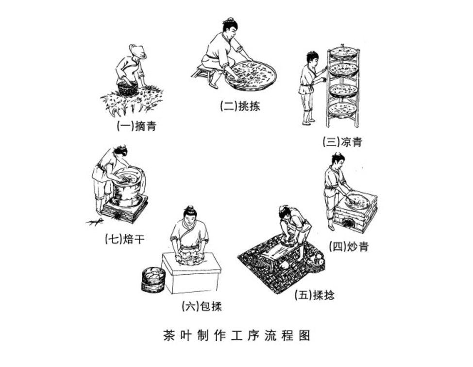 不过,对于不懂茶的人来说,甭管是20克10块钱的茶叶,还是20克10万的