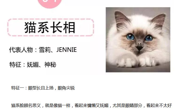 最后,从爆料描述的特征中猫系当红女星和犬系男星的特征,和杨幂魏大勋