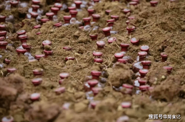 原创19年前山东男子埋下10瓶茅台当状元郎如今高考结束酒咋样了