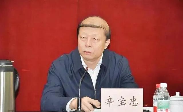 原创网红校长辛宝忠的儿子是谁那晚他和高颜值的妻子究竟发生了什么