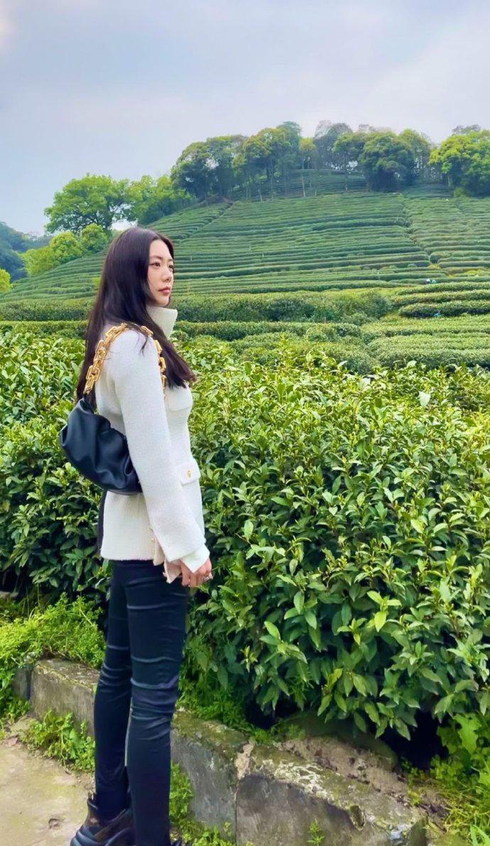 照片的背景是青青的绿色植物,和大美女形成便是一道亮眼的风景线.