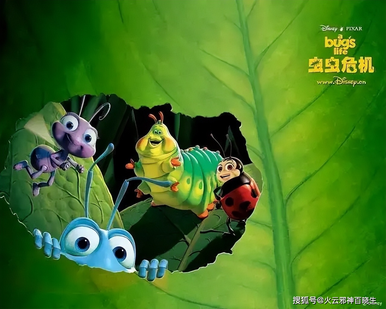 带着孩子一起看昆虫动画片吧这几部不容错过