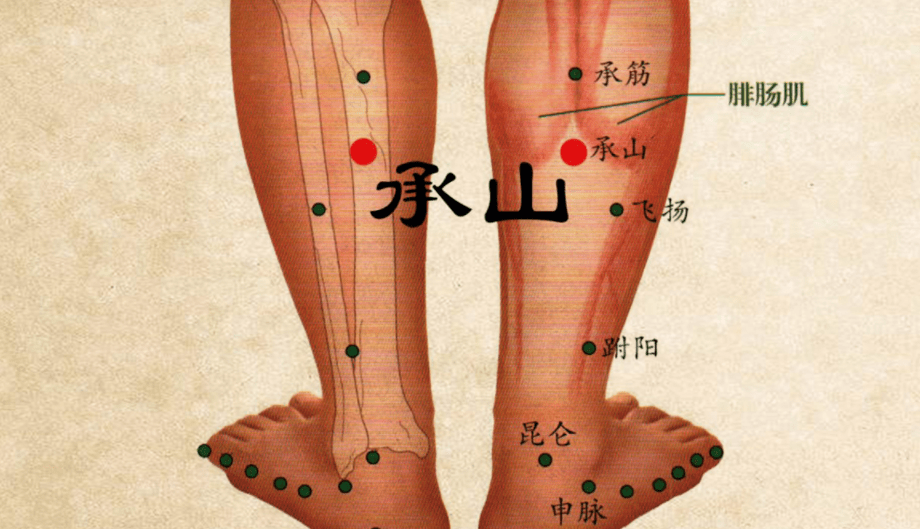 国模杨依大胆张腿人体图片