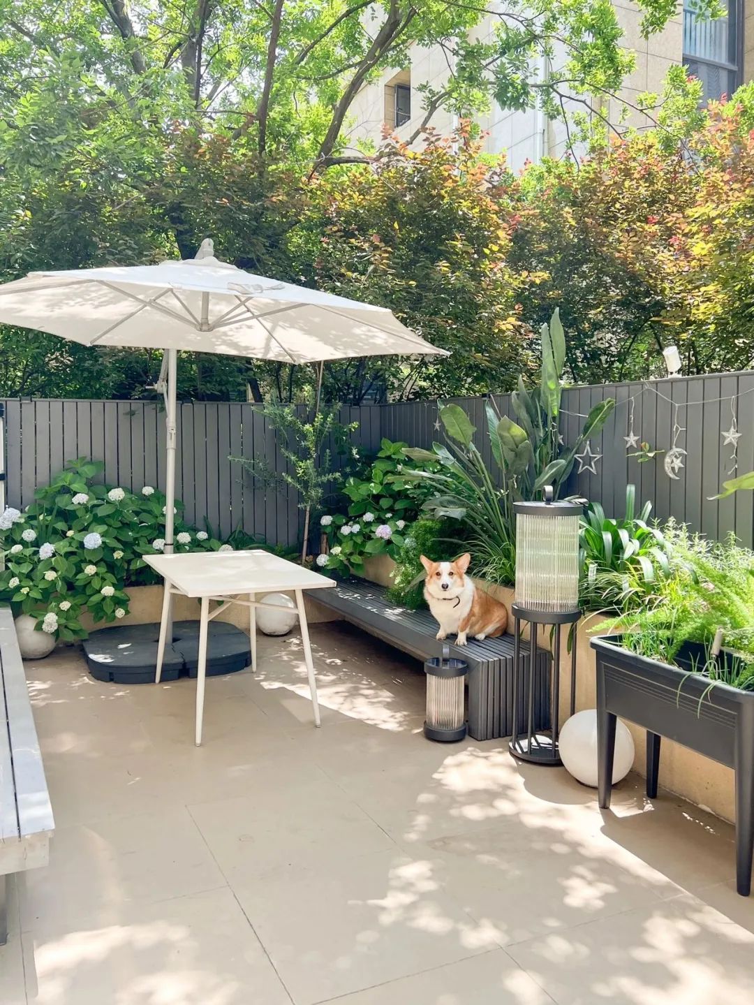 最美的景都藏在院子里的小角落那么该如何设计花园的角落呢