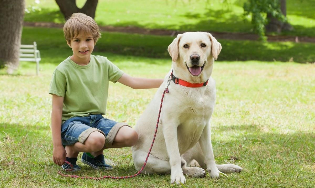 如何让小孩与狗狗安全相处