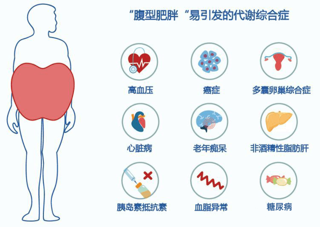 甘油二酯油可改善腹型肥胖吗 甘油二酯为什么可以减肥_脂肪_食用油