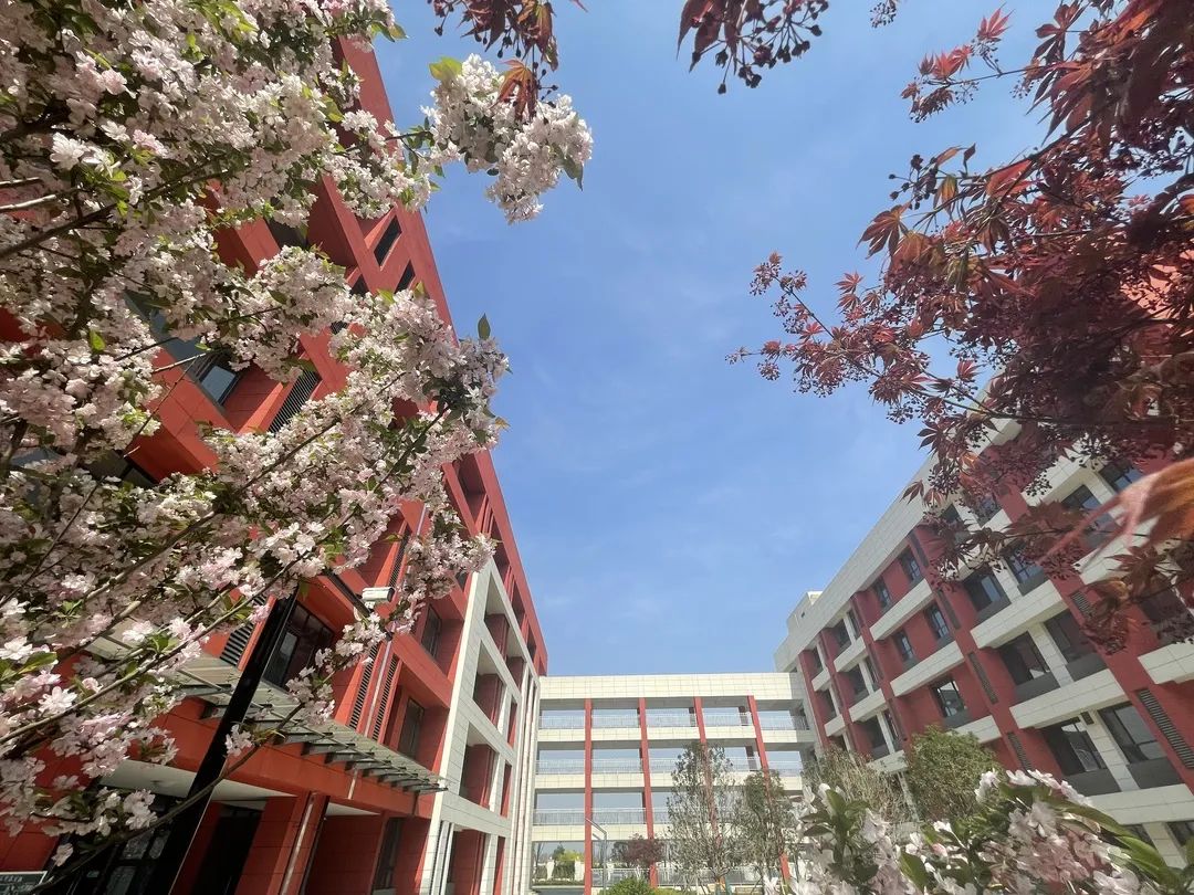 家门口的好学校 | 西咸新区秦汉新城渭柳佳苑初级中学_教育_管理_活动