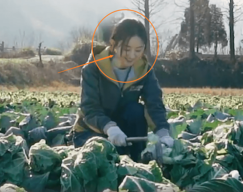 原创赵丽颖去田里干农活分手后的状态成功抢镜是否受影响一目了然
