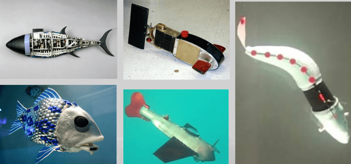 科普大佬说智能仿生机器鱼