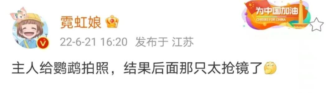 原创
千万!别随便!让男票拍纯欲风照片哈哈哈哈哈哈妈妈我害怕