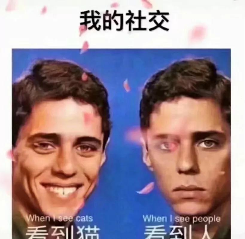 原创
“楼上的邻居玩得挺嗨啊!”哈哈哈一看就是肛肠科vip用户了