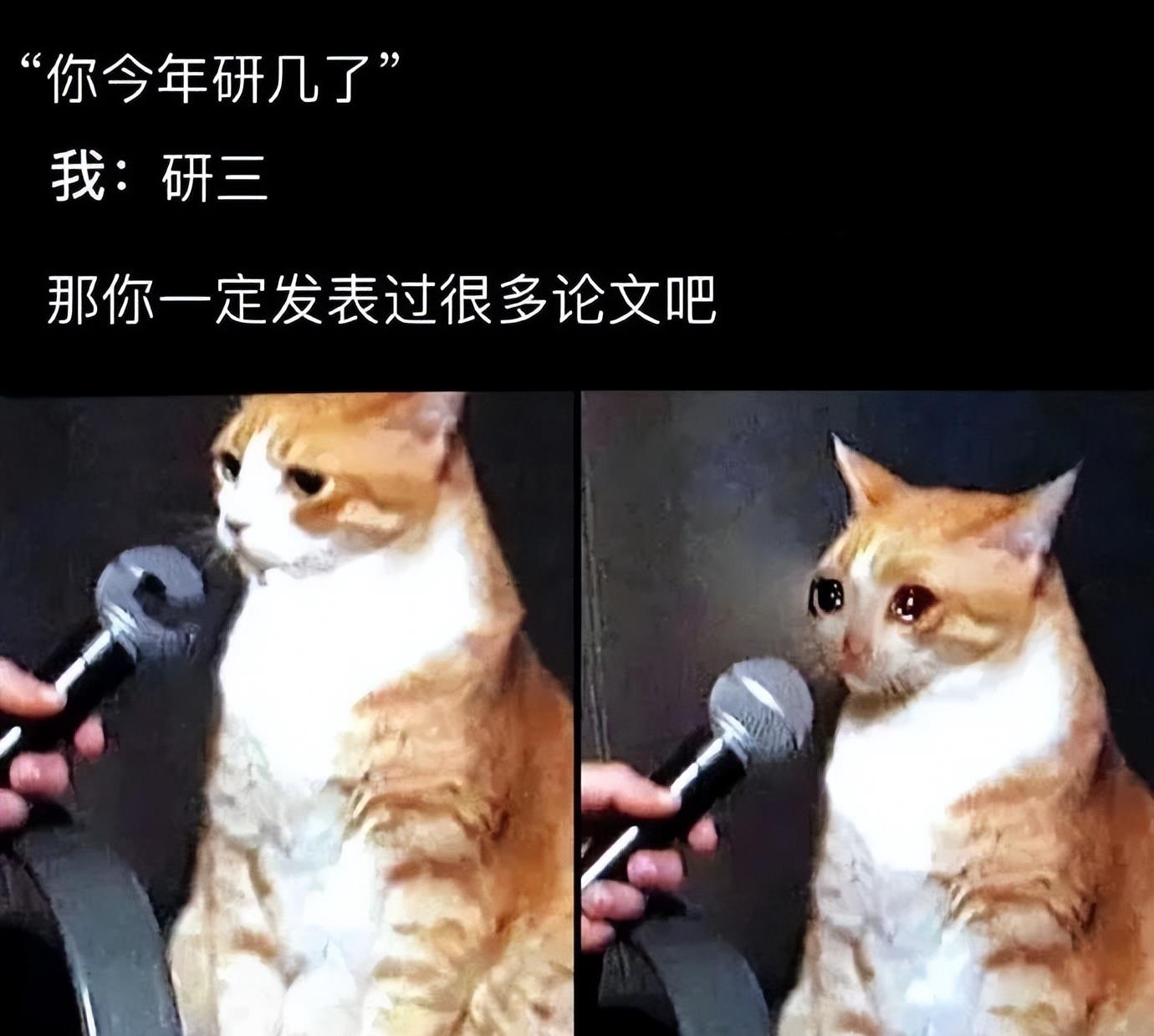 原创
让男友帮我拍张照片发朋友圈,结果...网友:当场给我送走了哈哈