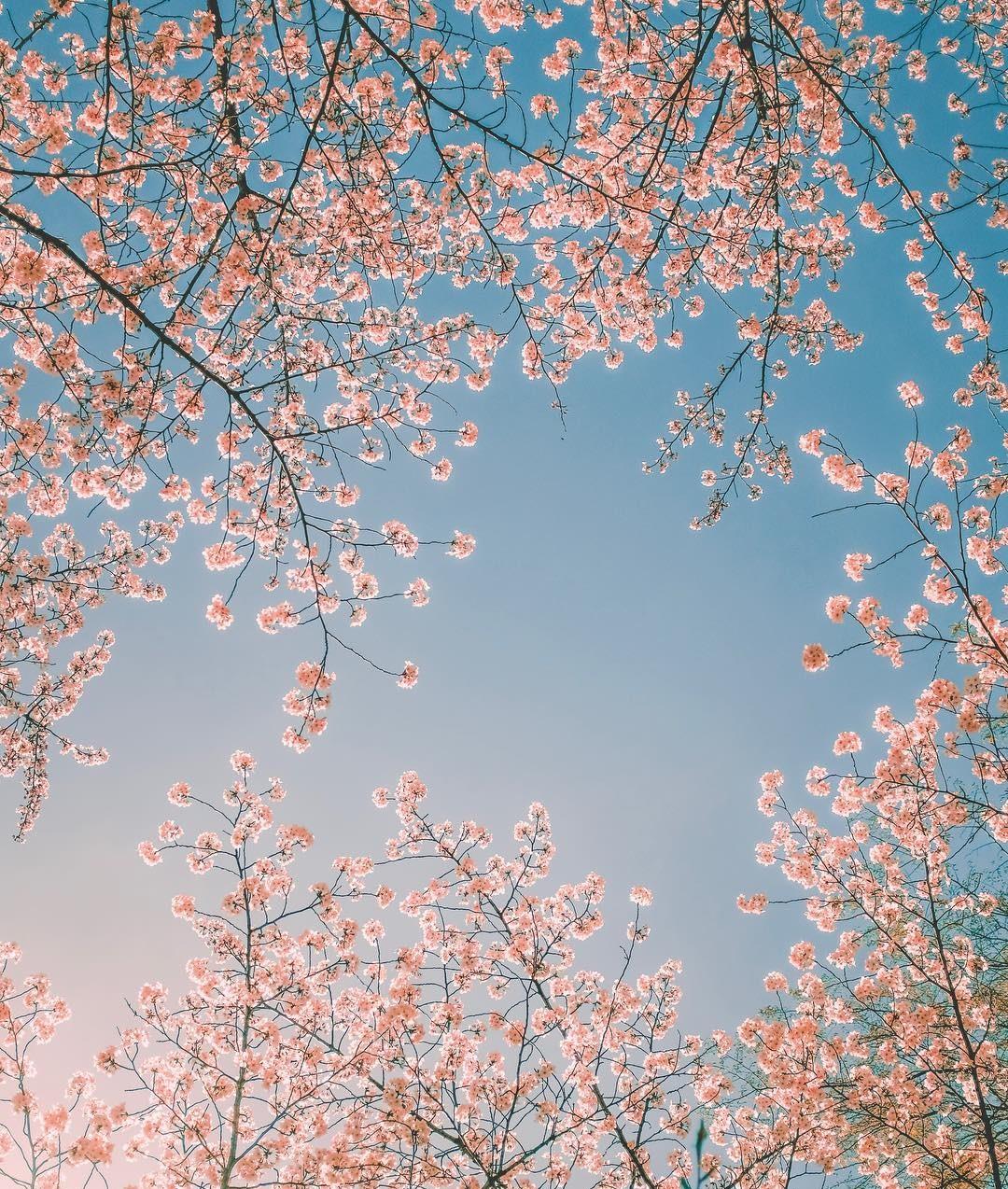 6月25日到7月6日 四大星座意外之财 不屈不挠 高人指点 工作 生活 气质