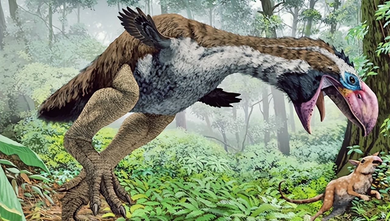 进行攻击_生物_人类