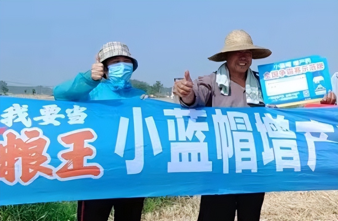 连用3年小蓝帽增产药 年年成"粮王"还多赚5万元_曹吉玉_马岱_小麦