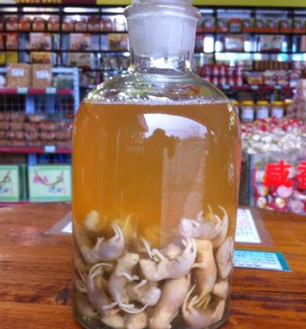 第一种:乳田鼠仔酒,看到这个食物名字,很多人就已经吓得瑟瑟发抖,不忍