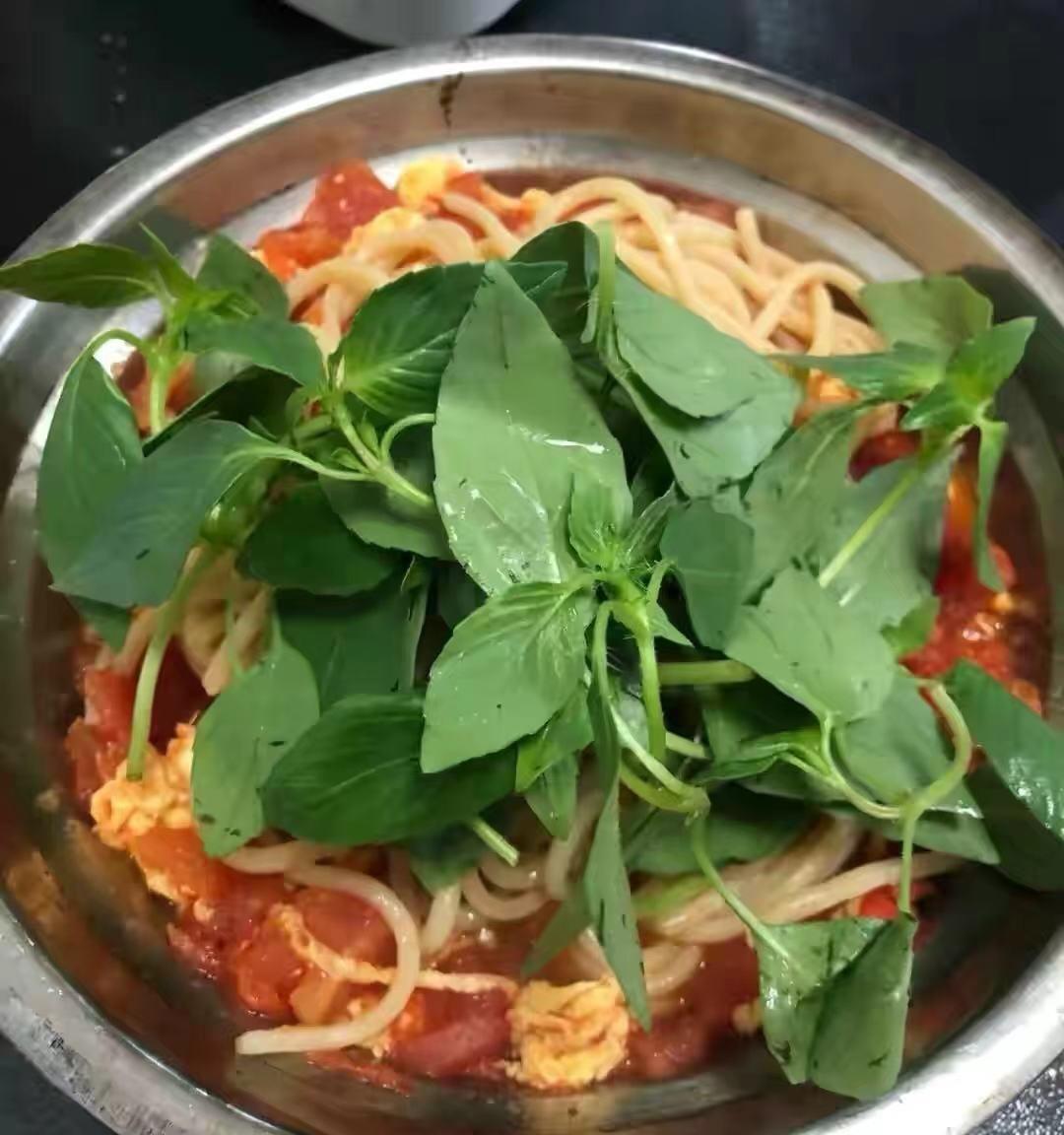 不是胡辣汤,不是烩面,这才是河南的象征身份_荆芥_黄瓜_味道