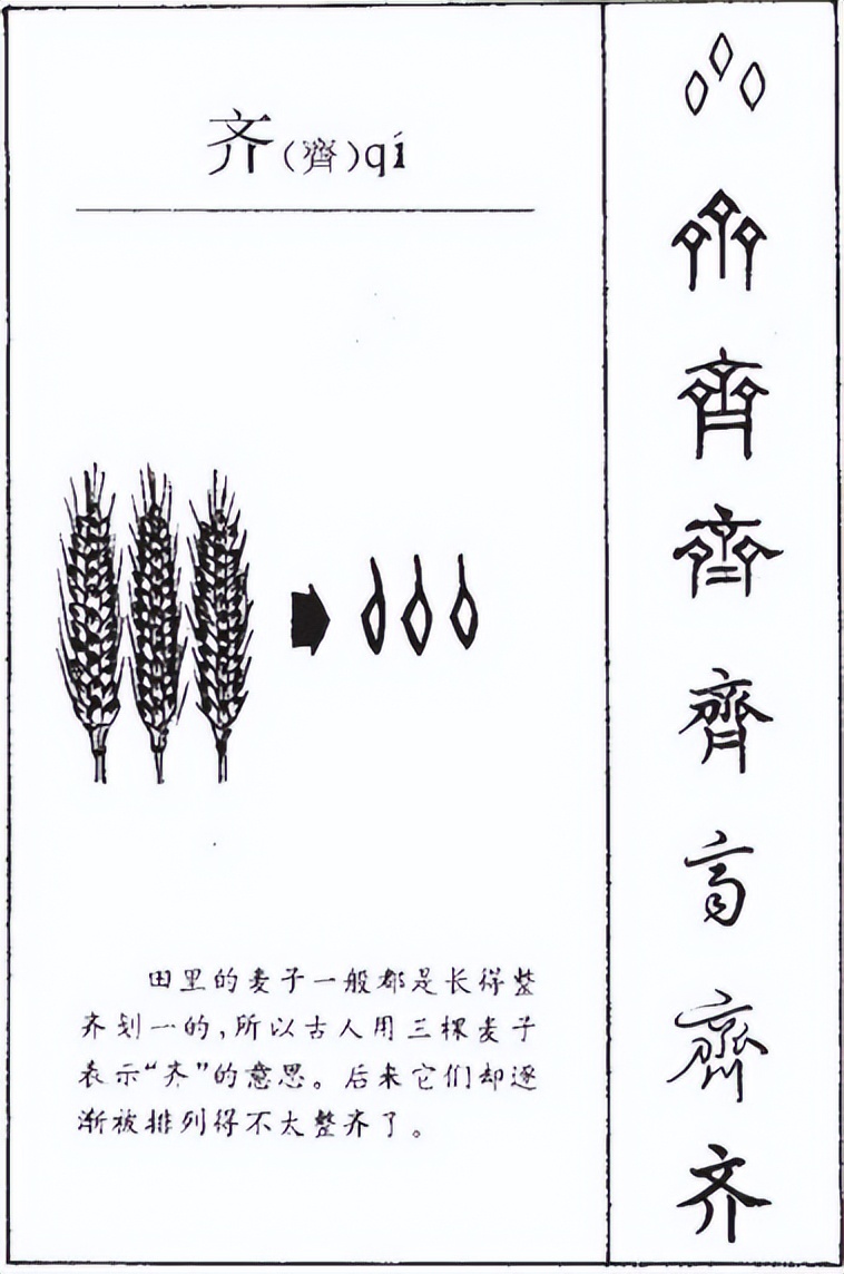 甲骨文_齐地_麦穗