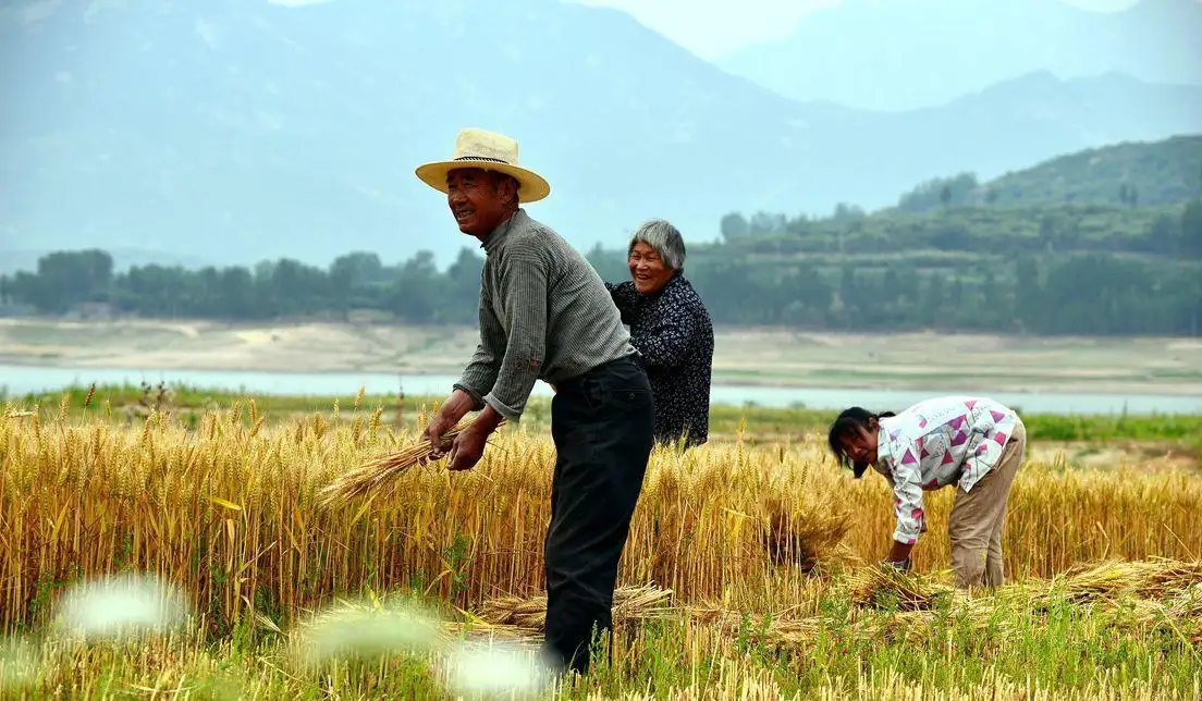 父母抱怨种地的苦,不希望子女种地,但自己却又不愿意放弃种地