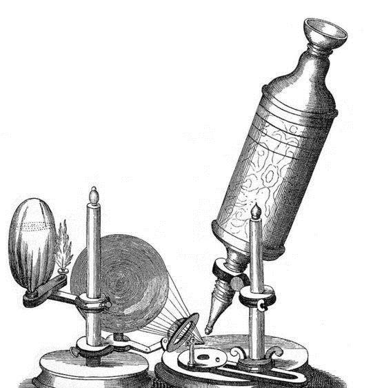 列文虎克使用其制造的显微镜,发现了许多东西,其中最有名的发现就是