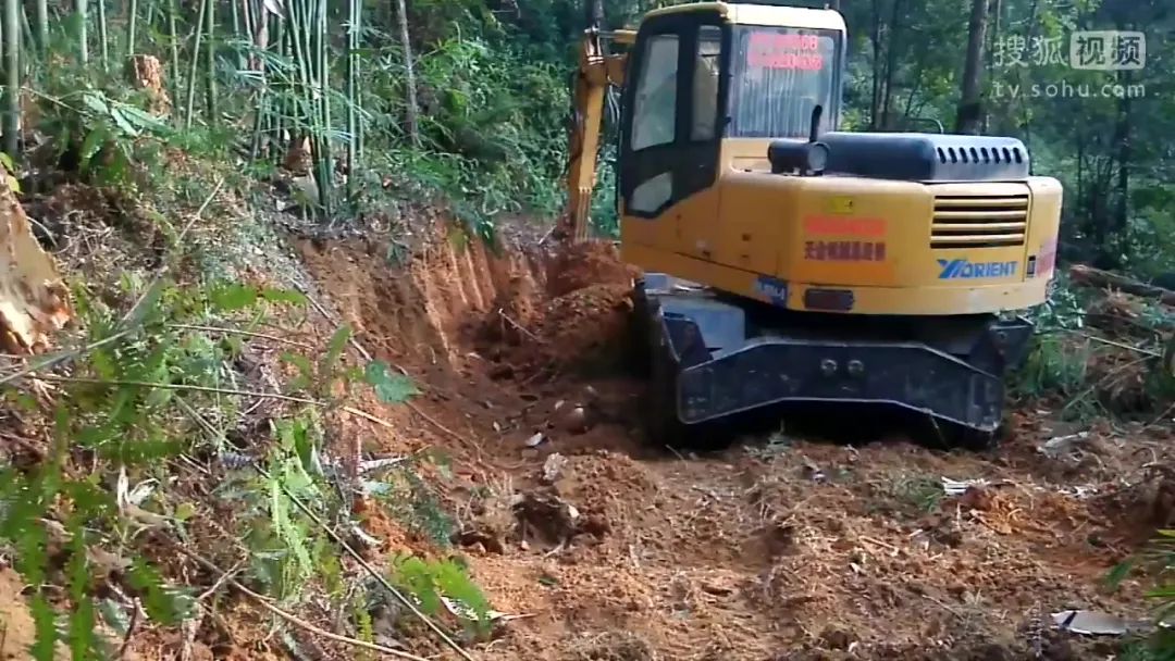 原创死蛇也会咬人被打死的蛇复活伤人是科学还是迷信