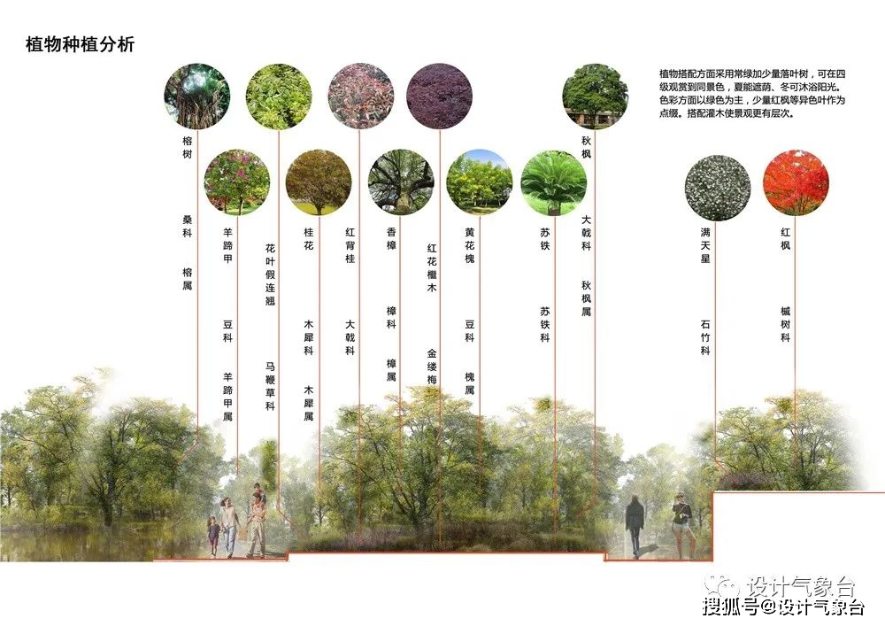 抱歉你的植物分析图太丑了