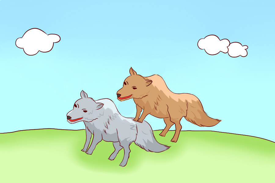 狼群_行动_牙齿