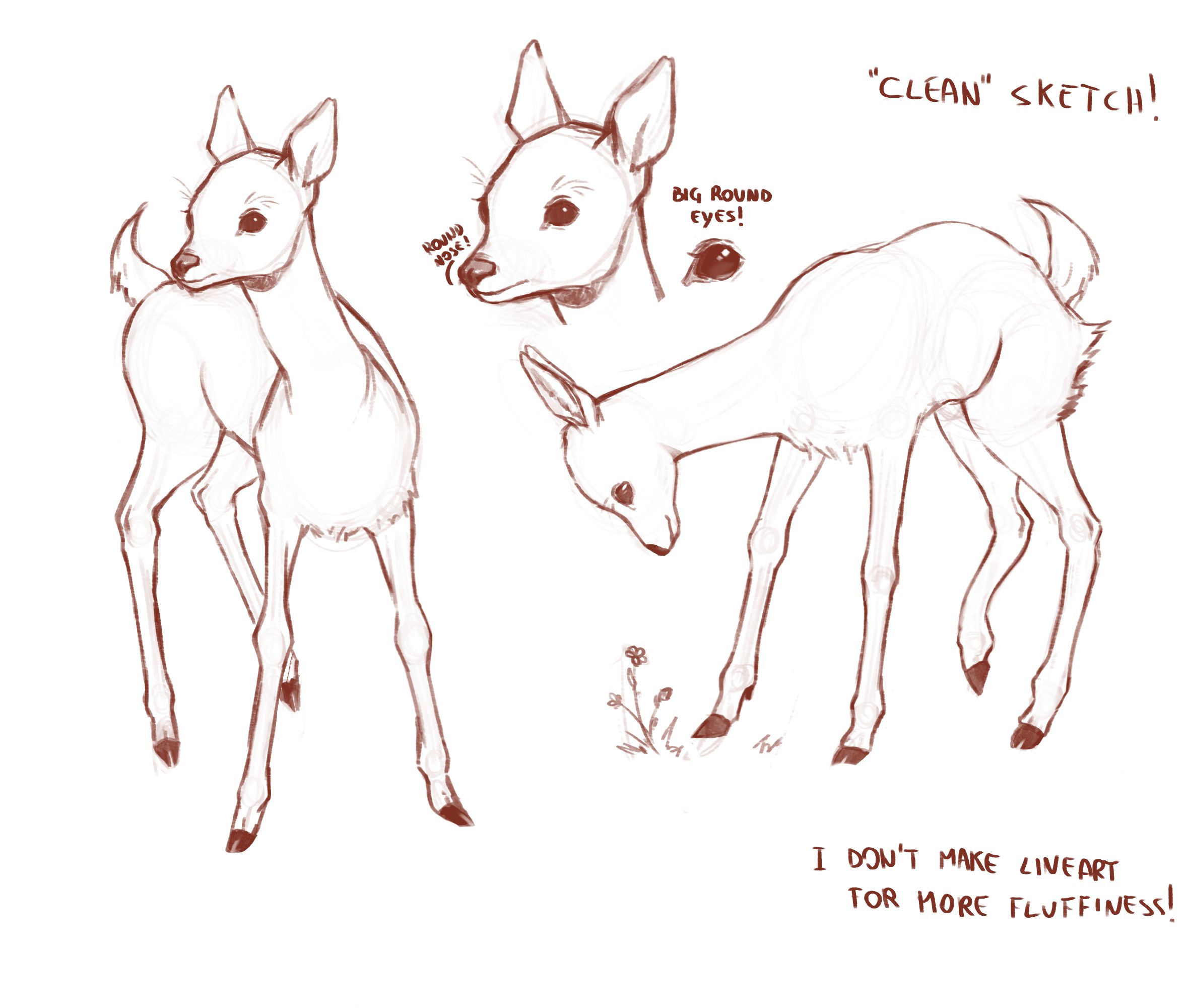 小鹿怎么画教你可爱小鹿的画法教程