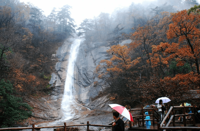 大别山第二高峰，藏在安徽六安市，不仅是花的海洋，还是植物王国