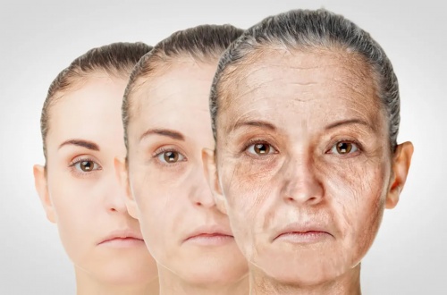 从极妍家情书面膜看干细胞外泌体,如何对人体衰老肌肤起作用_细胞因子